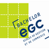 école EGC Strasbourg